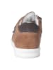 PEPINO Sneakers "Kian-S" lichtbruin