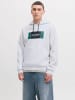 Jack & Jones Hoodie in Hellgrau