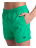 Arena Badeshorts in Grün