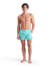 Arena Badeshorts in Türkis