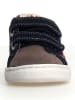 Naturino Skórzane sneakersy w kolorze granatowo-brązowo-pomarańczowym