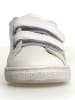 Naturino Leder-Sneakers "Pinn" in Weiß/ Rosa/ Grün