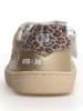 Naturino Sneakers "Picho" wit/Beige