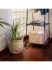 Compactor Aufbewahrungskorb "Lhassa" in Beige - (B)30 x (H)30 x (T)30 cm