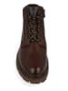 Wrangler Boots "Marshall" in Braun