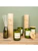 Paddywax Geurstokjesdiffuser "Basil + Cucumber" groen - 118 ml