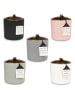 Paddywax Duftkerze "Hygge - Vetiver + Cardamom'' in Hellgrau - 425 g