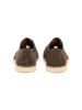 LLOYD Leren veterschoenen "Liman" taupe