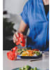 Donkey 2er-Set: Gewürzstreuer ''Fishes for Dishes'' in Rot - (B)8,5 x (H)6 x (T)8,5 cm