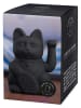 Donkey Dekofigur ''Lucky Cat'' in Schwarz - (B)10,5 x (H)15 x (T)8,5 cm