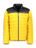 Canadian Peak Steppjacke "Amigoclerceak" in Gelb
