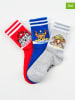 Disney Paw Patrol 3er-Set: Socken "Paw Patrol" in Hellgrau/ Blau/ Rot