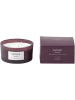 Bloomingville Świeca zapachowa "VINTAGE-Cedarwood" - 250 g