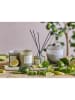 Bloomingville Duftkerze "NO.1-Parsley Lime" in Grün - 210 g