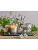 Bloomingville Duftkerze "NO. 2 - Green Gardenia" in Rosa - 210 g