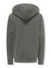 ONLY & SONS Junior Hoodie "Curated" grijs