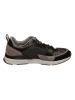 Gant Sneakers "Andrew" in Schwarz/ Braun
