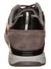 Gant Sneakers "Andrew" zwart/bruin