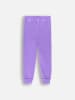 Coccodrillo Sweathose in Lila