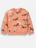 Coccodrillo Sweatshirt in Orange