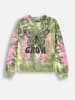 Coccodrillo Sweatshirt in Bunt