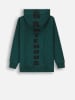 Coccodrillo Hoodie in Grün