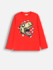 Coccodrillo Longsleeve in Rot