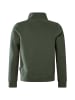 Pierre Cardin Pullover in Grün