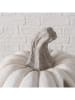 Boltze Dekoaufsteller "Baldomero" in Creme - (H)39 x Ø 31 cm