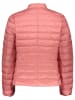 Juvia Steppjacke in Orange