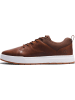 Timberland Leder-Sneakers "Maple Grove" in Hellbraun