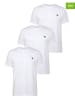 Timberland 3er-Set: Shirts in Weiß