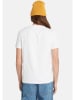 Timberland 3er-Set: Shirts in Weiß