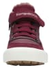 Kangaroos Sneakers "Shady EV" bordeaux