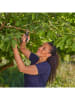 Gardena Snoeischaar "PremiumCut - Vers Hout" zwart