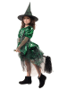 Party x People 2-delig kostuum "Heks Greeny" groen