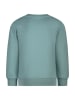 Salt and Pepper Sweatshirt in Grün