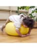 bObles Balance-Spielzeug "Donut" in Gelb - ab Geburt