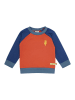 loud + proud Bluza w kolorze czerwono-granatowym