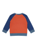 loud + proud Bluza w kolorze czerwono-granatowym