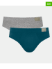 Sloggi 2er-Set: Slips in Grau/ Blau
