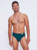Sloggi 2er-Set: Slips in Grau/ Blau