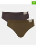 Sloggi 2er-Set: Slips in Khaki/ Anthrazit