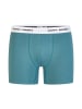 Happy Shorts 2er-Set: Boxershorts in Hellblau/ Grün