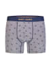 Happy Shorts 2er-Set: Boxershorts in Hellblau/ Grau
