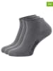 NANGA 3er-Set: Sneakersocken in Grau