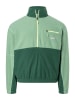 Marmot Fleecepullover "Retro Rocklin" in Grün