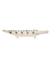 OYOY mini Garderobe "Crocodile" in Beige - (B)60 x (H)12 cm
