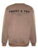 Blue Effect Sweatshirt in Hellbraun
