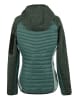Regatta Hybridjacke "Newhill" in Grün